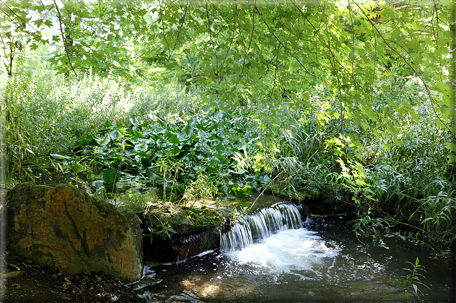 foto Giardini Trauttmansdorff - Boschi del Mondo